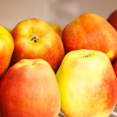 Affittacamere Smart Bucarest