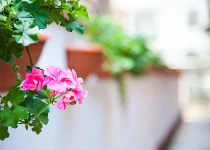 Smart بيت ضيافة 3*