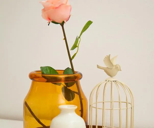 Vendégház Smart 3*