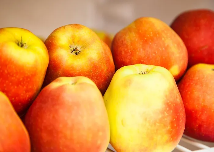 بيت ضيافة Smart بوخارست