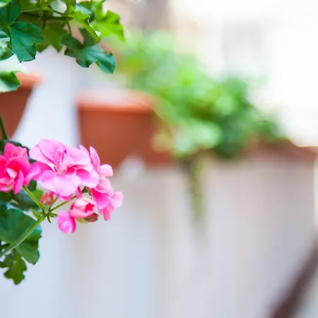 Smart Guest house 3*